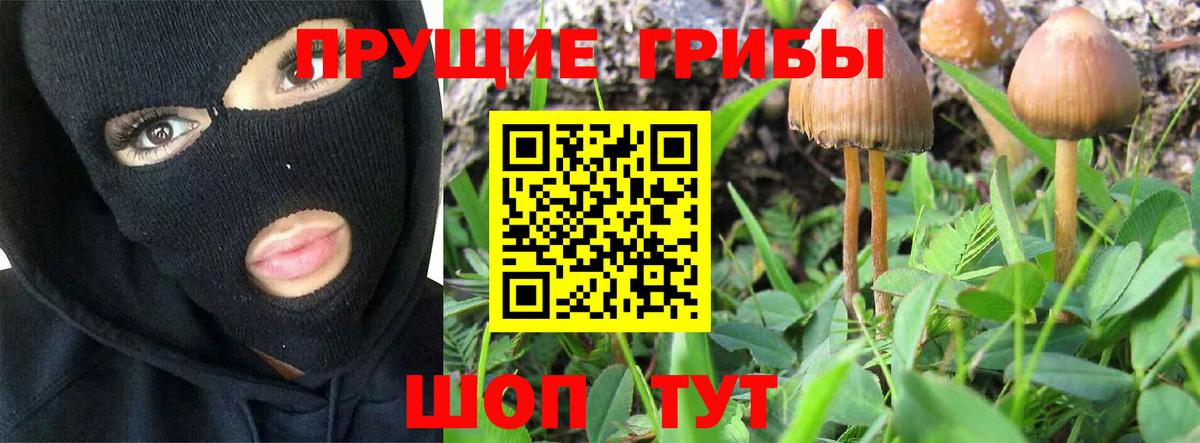 Галлюциногенные грибы Magic Shrooms  Вход с VPN  Троицк 